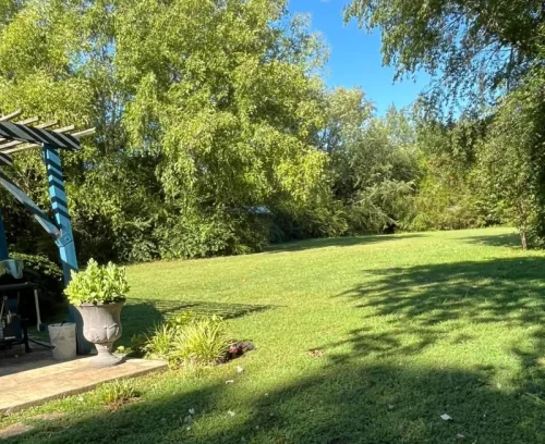 land clearing services clear landscape hazel green al bottom