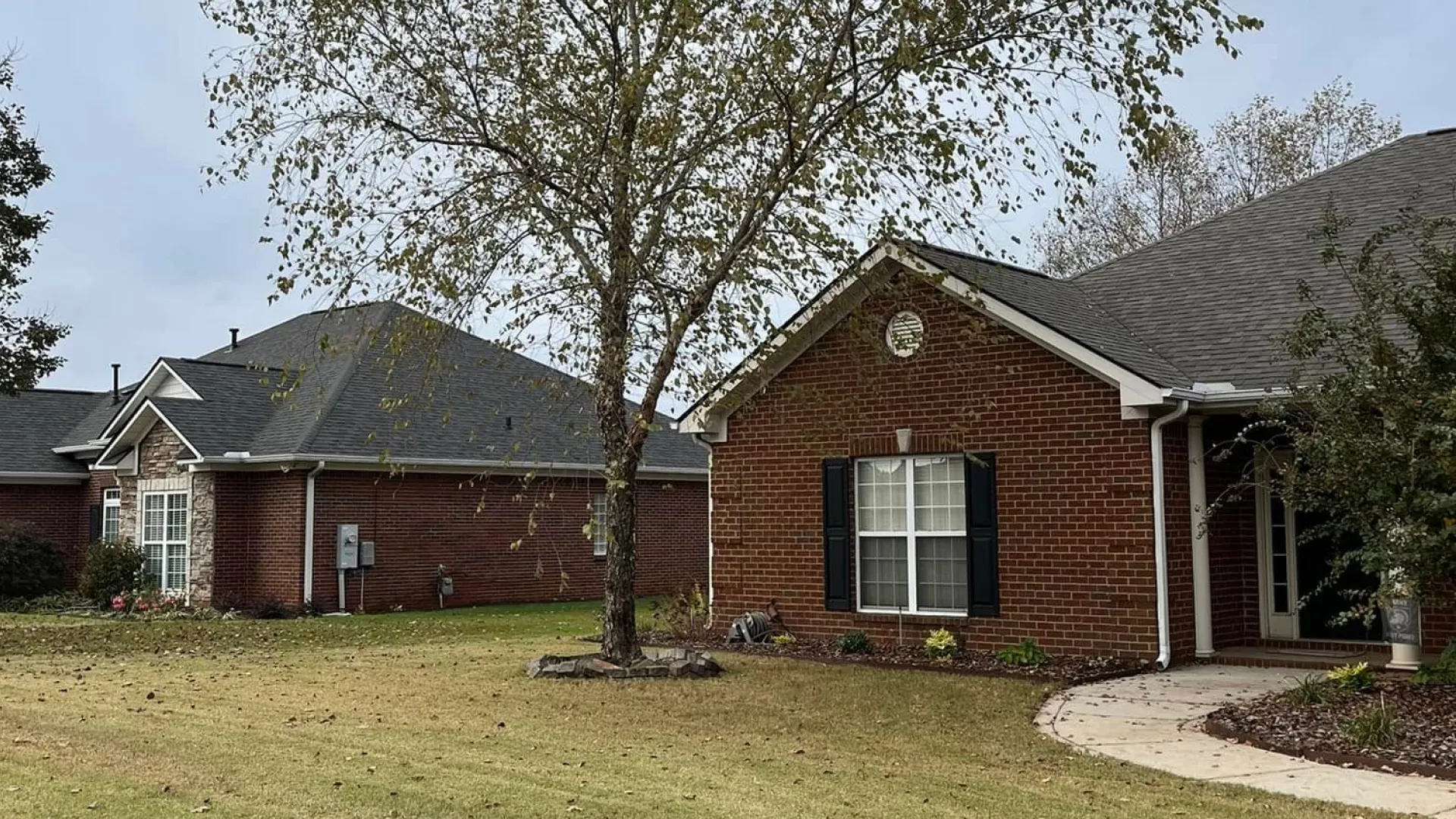 tree services hero hazel green al